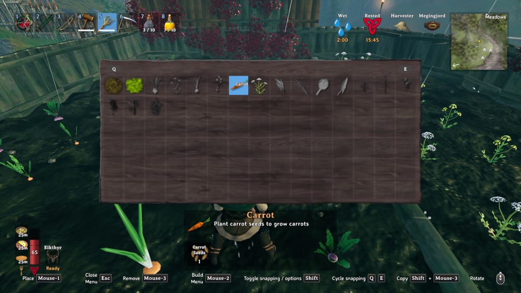 valheim planting carrots