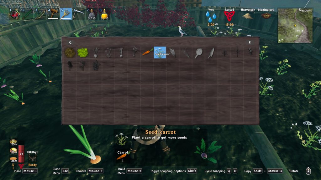 valheim planting seed carrots