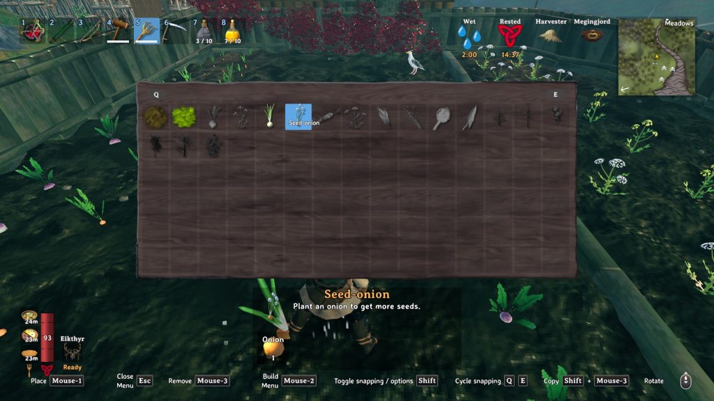 valheim planting seed onions