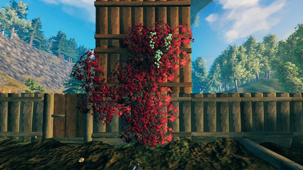 valheim vineberry cluster farm sample