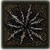 ernr death blight affinity