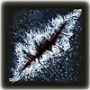 ernr frostbite affinity
