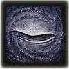 ernr sleep affinity