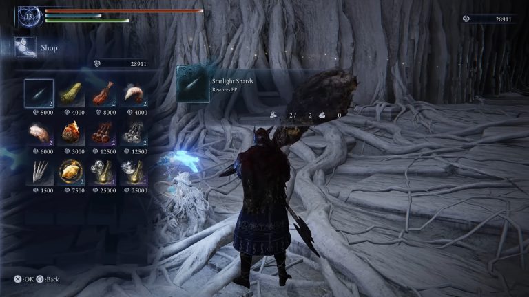elden ring nightreign merchant
