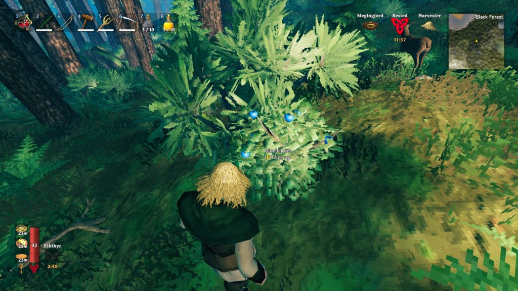 valheim farming skill harvest blueberries