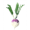 valheim turnip