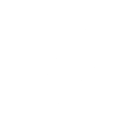 baldurs gate 3 build icon