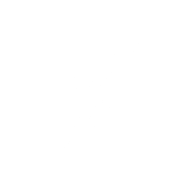 baldurs gate 3 build icon