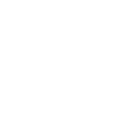 baldurs gate 3 build icon