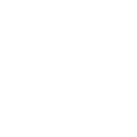 baldurs gate 3 build icon