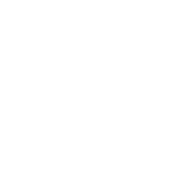 baldurs gate 3 build icon
