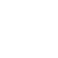 baldurs gate 3 build icon