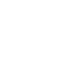 baldurs gate 3 build icon