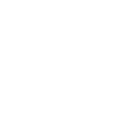 baldurs gate 3 build icon