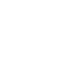 baldurs gate 3 build icon