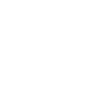 baldurs gate 3 build icon