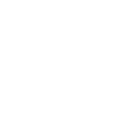 baldurs gate 3 build icon