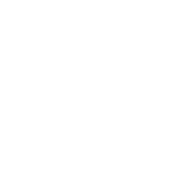 baldurs gate 3 build icon