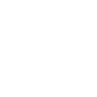 baldurs gate 3 build icon