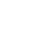 baldurs gate 3 build icon