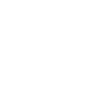 baldurs gate 3 build icon