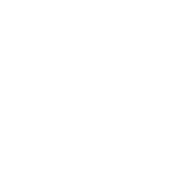 baldurs gate 3 build icon