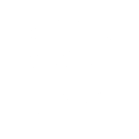 baldurs gate 3 build icon