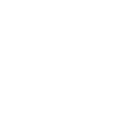 baldurs gate 3 build icon