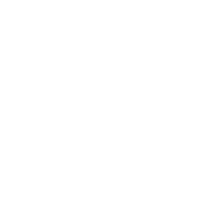 baldurs gate 3 build icon