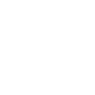 baldurs gate 3 build icon