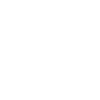 baldurs gate 3 build icon