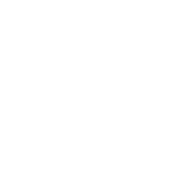 baldurs gate 3 build icon