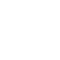 baldurs gate 3 build icon
