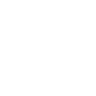 baldurs gate 3 build icon