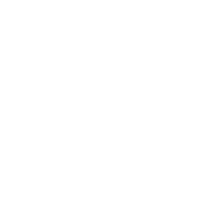 baldurs gate 3 build icon