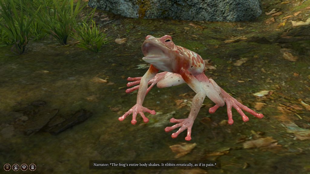 baldurs gate 3 screenshot putridbog addledfrog