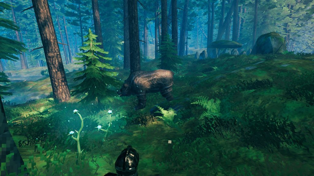 valheim black forest bear