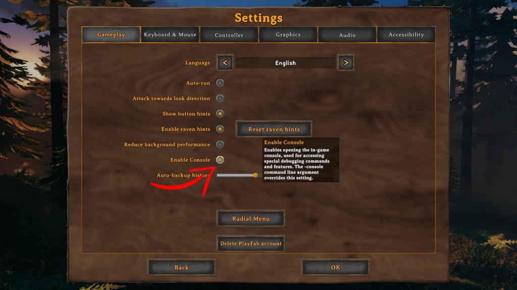 valheim console commands enable console