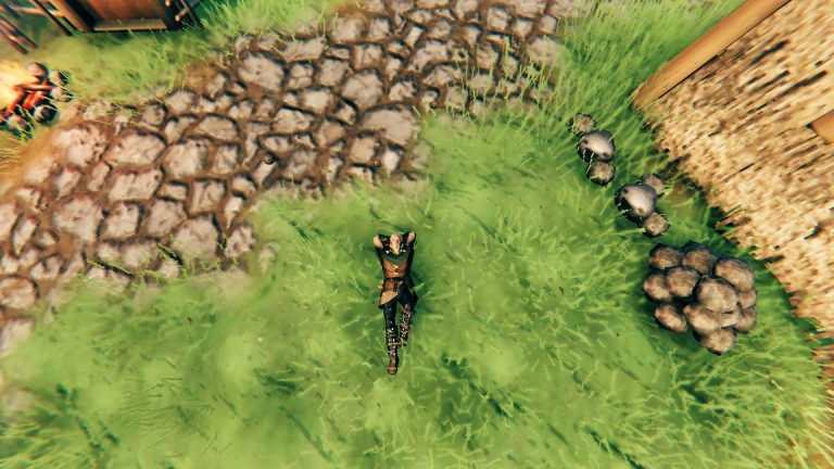 How to Use Emotes – Valheim - EIP Gaming