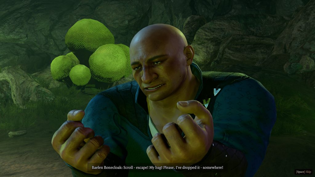 baldurs gate 3 screenshot findthemushroompicker baelen meet