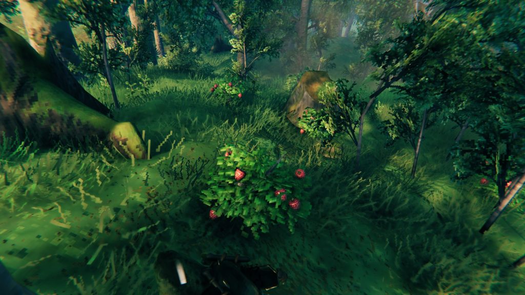 valheim meadows tips raspberries