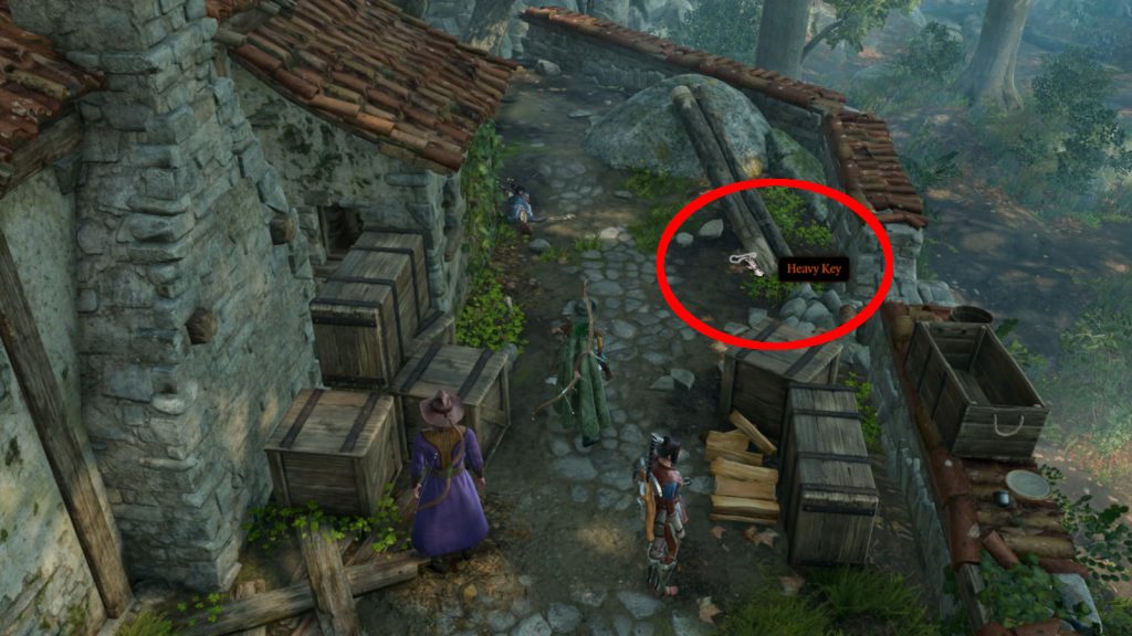 baldurs gate 3 screenshot thehellionsheart key