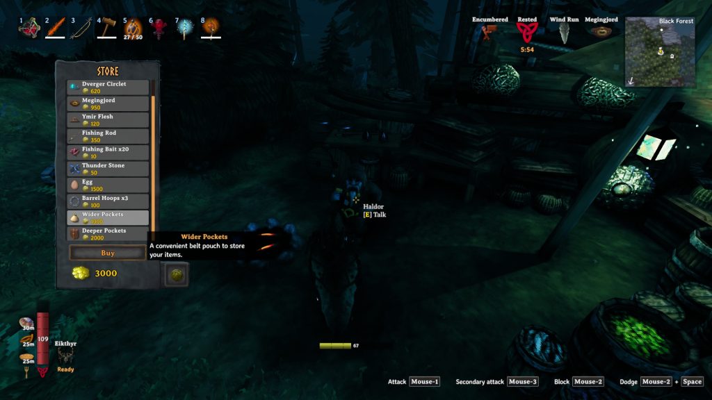 valheim wider pockets