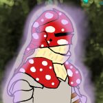 AgaricKnight